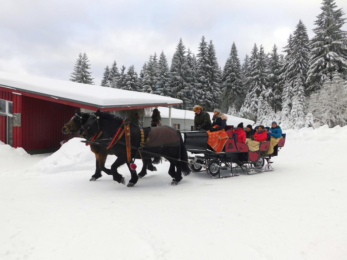 Waldhotel Rennsteighoehe Frauenwald Esterno foto