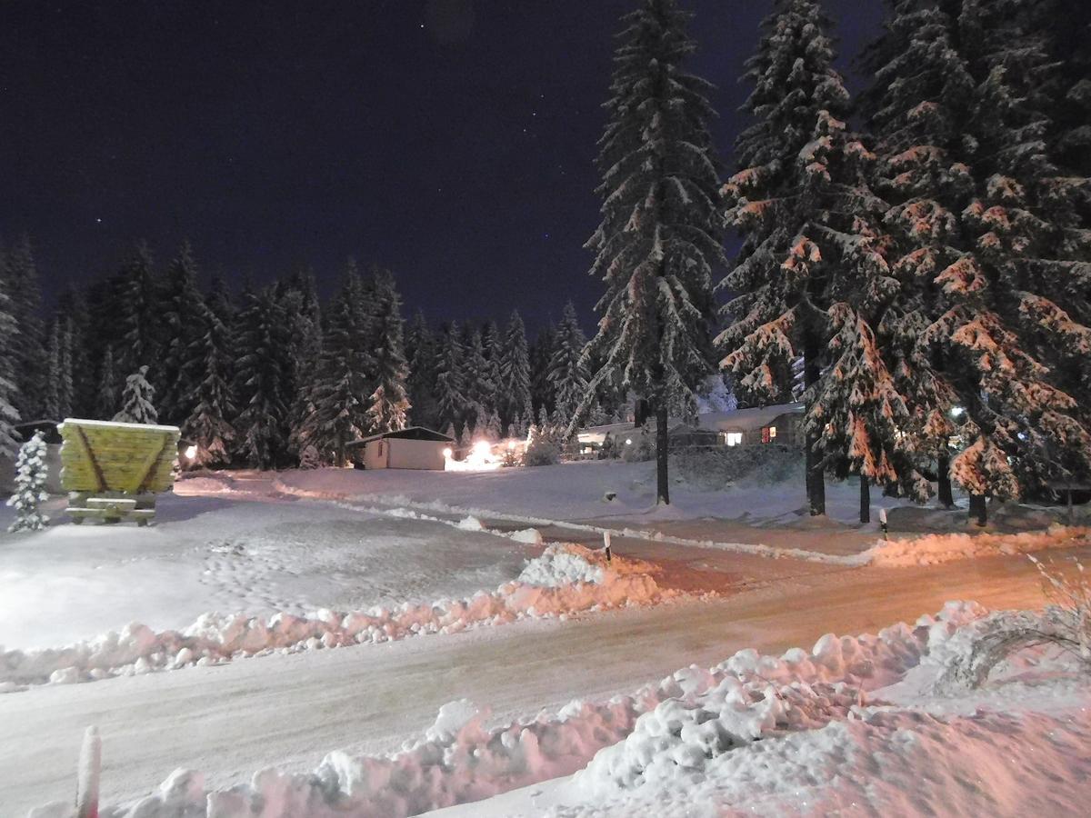 Waldhotel Rennsteighoehe Frauenwald Esterno foto