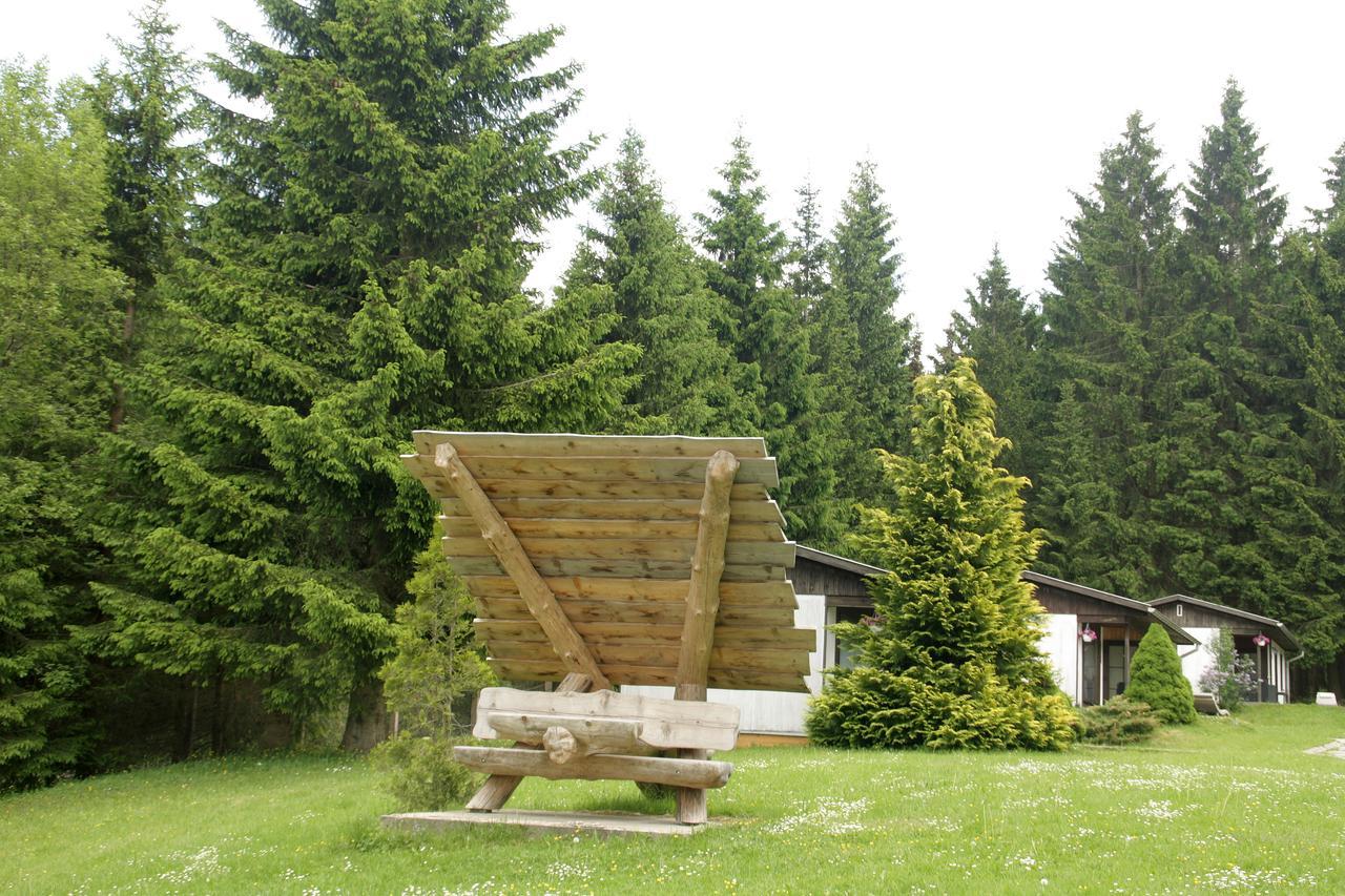 Waldhotel Rennsteighoehe Frauenwald Esterno foto